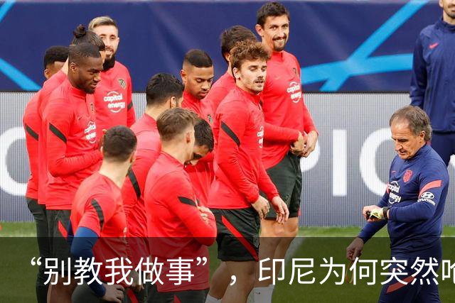 “别教我做事”，印尼为何突然呛声新加坡？