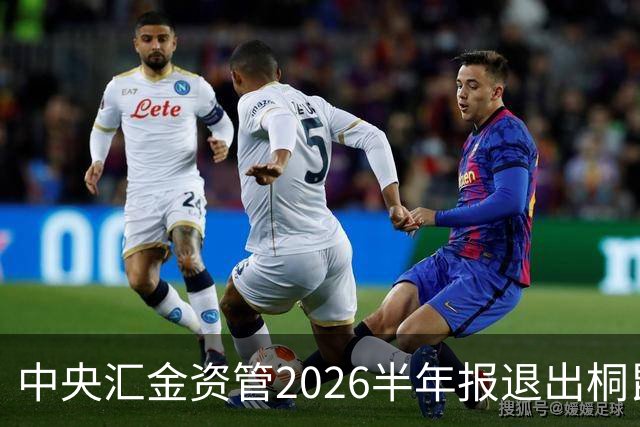 中央汇金资管2026半年报退出桐昆股份前十大股东名单