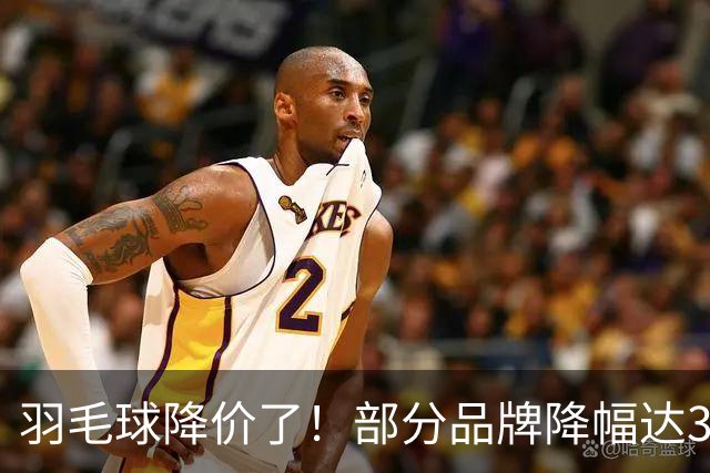 羽毛球降价了！部分品牌降幅达30%