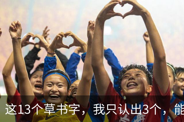 这13个草书字，我只认出3个，能100%认识的，您是真有两把刷子！