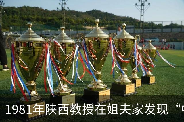 1981年陕西教授在姐夫家发现“中看不中用”的怪壶，竟是失传已久的倒灌壶